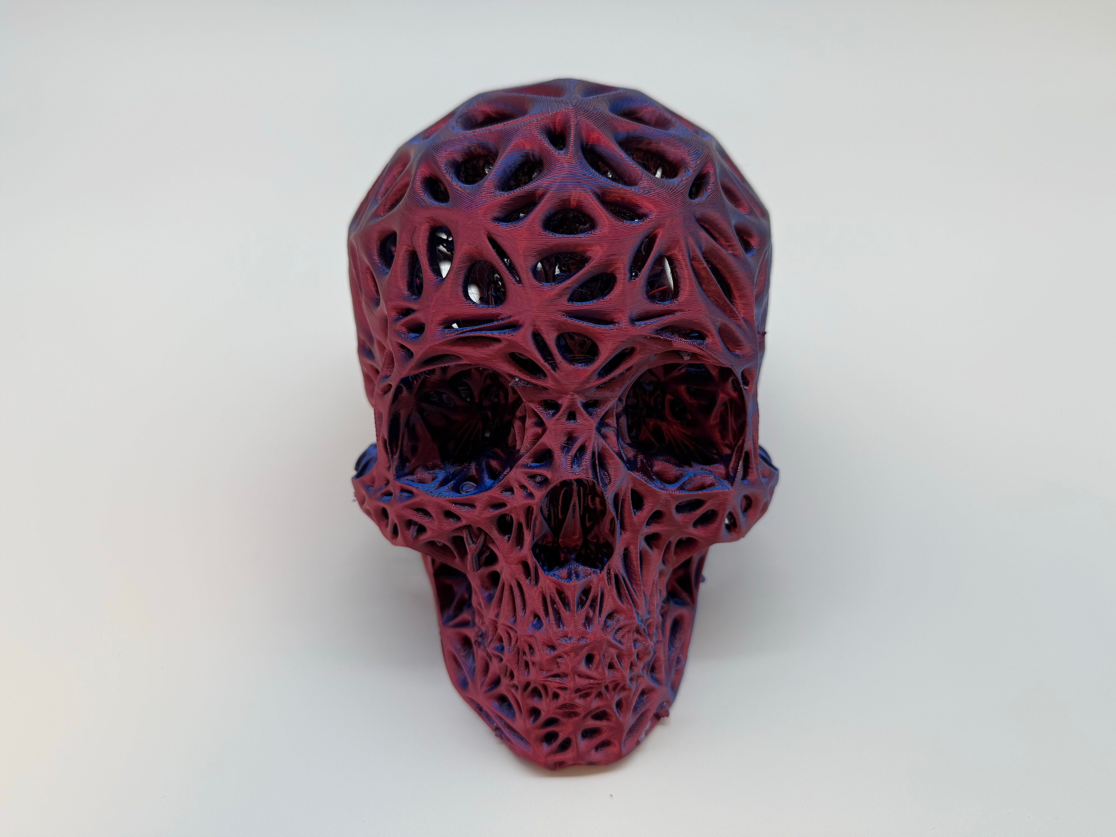Full Size Human Skull - Premium Quality