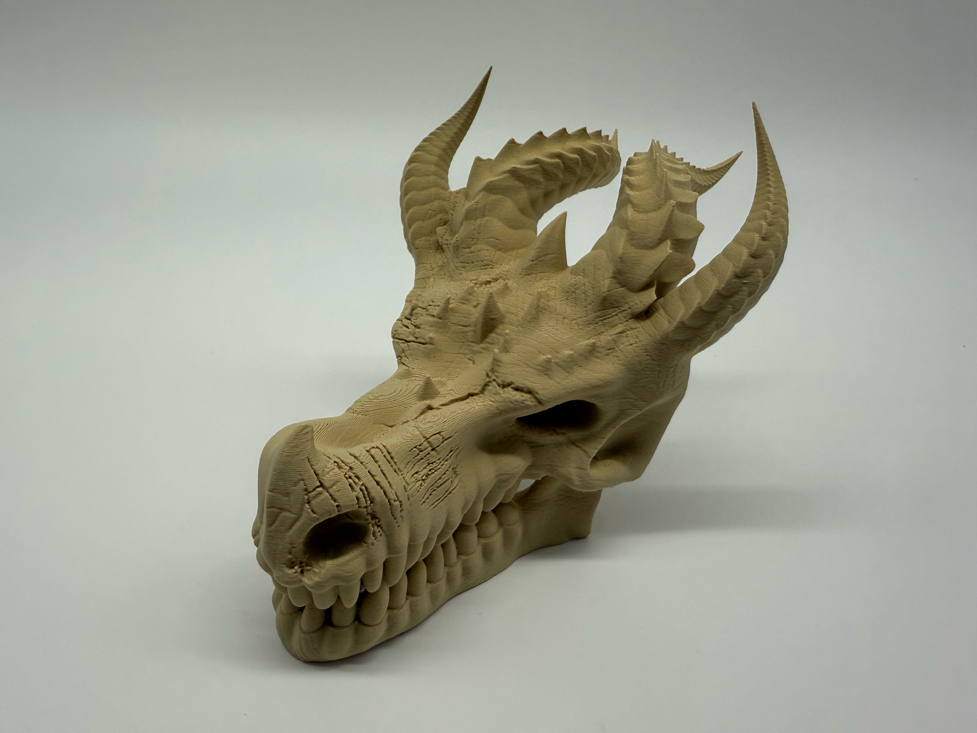 Dragon Skull -Premium Quality