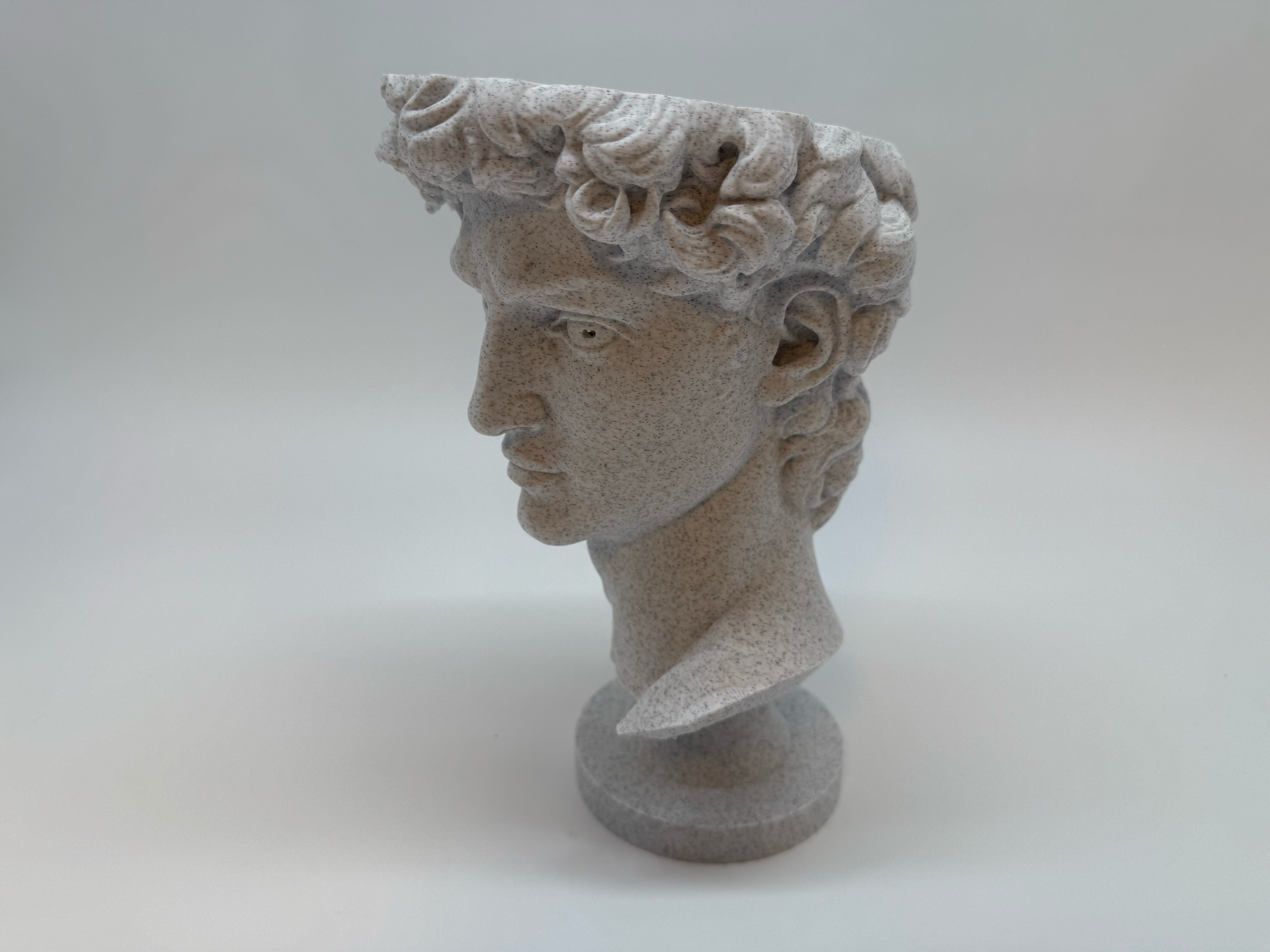 Klassieke Buste van David - Premium Quality