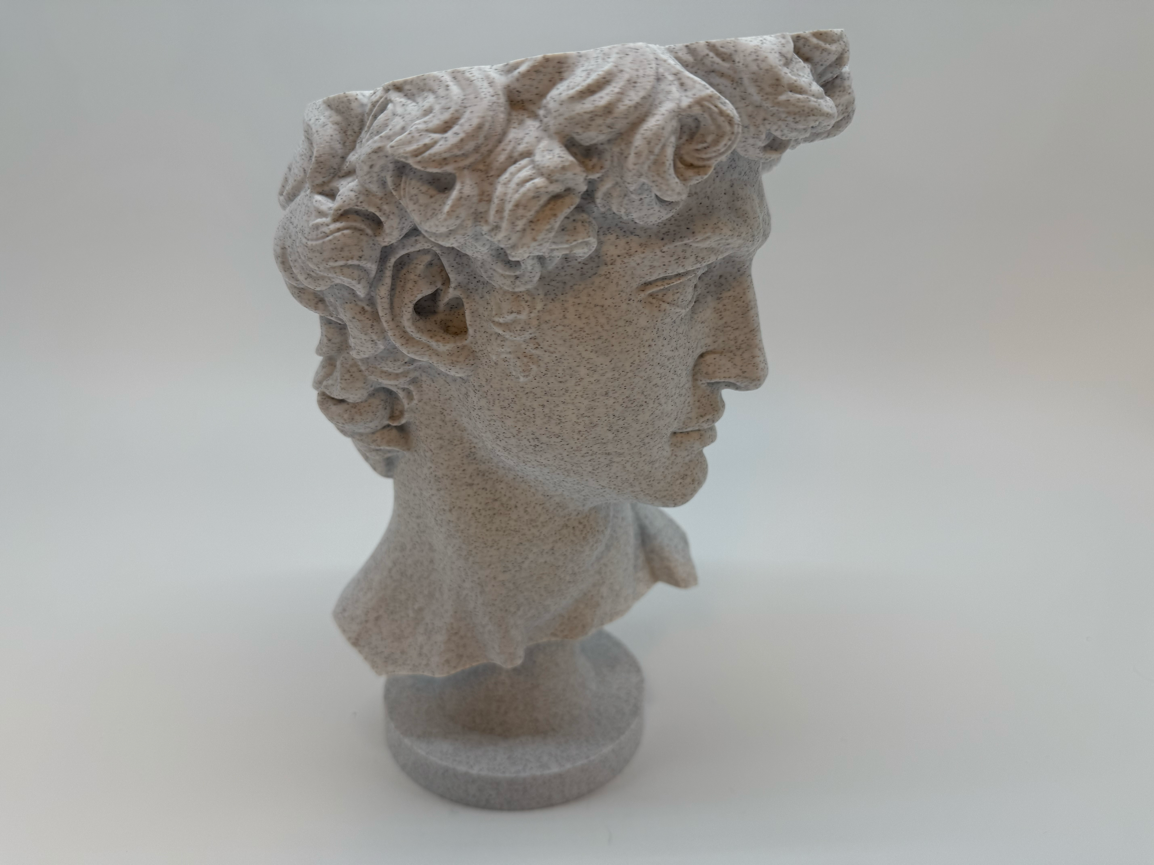 Klassieke Buste van David - Premium Quality