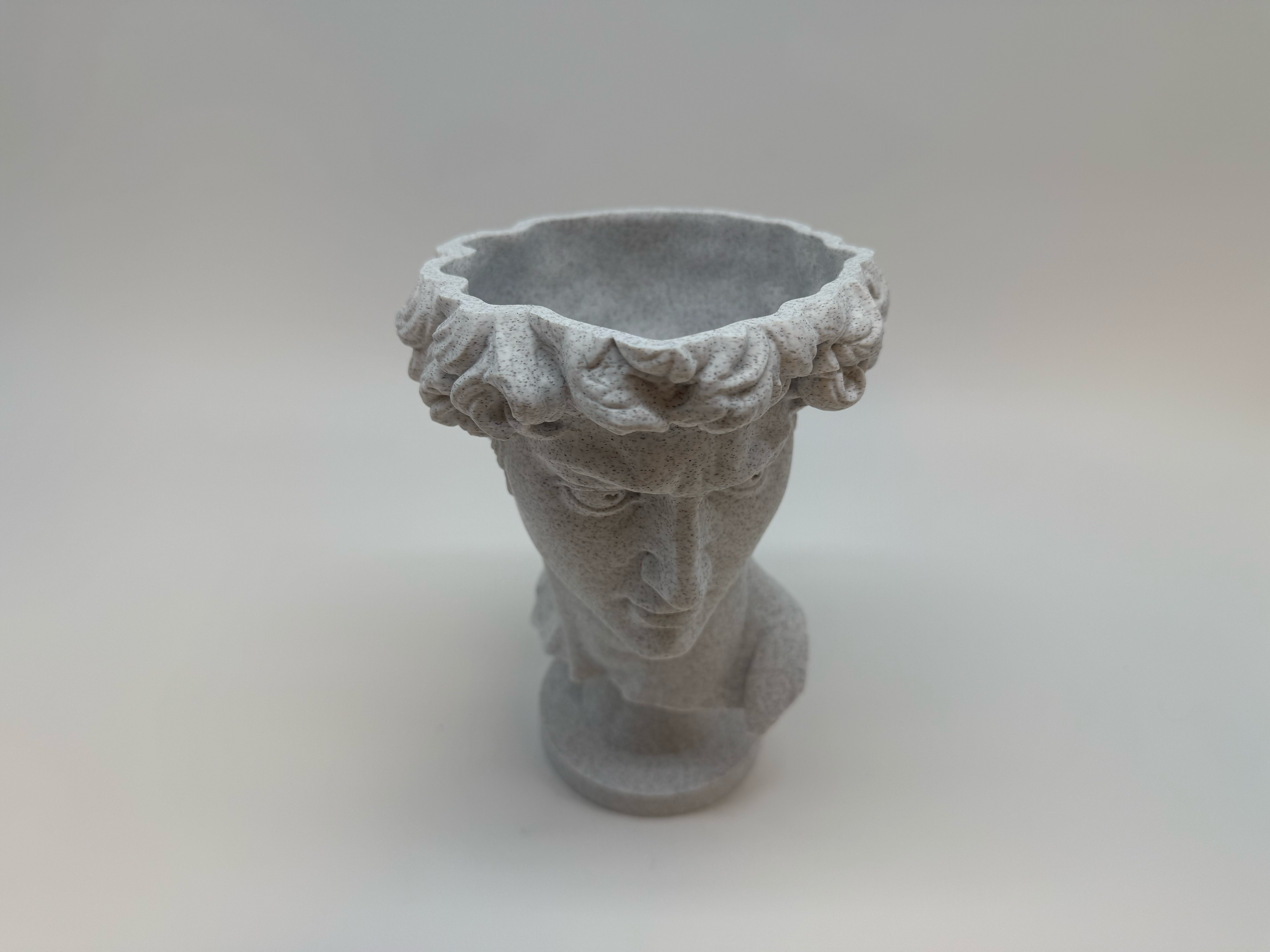 Klassieke Buste van David - Premium Quality