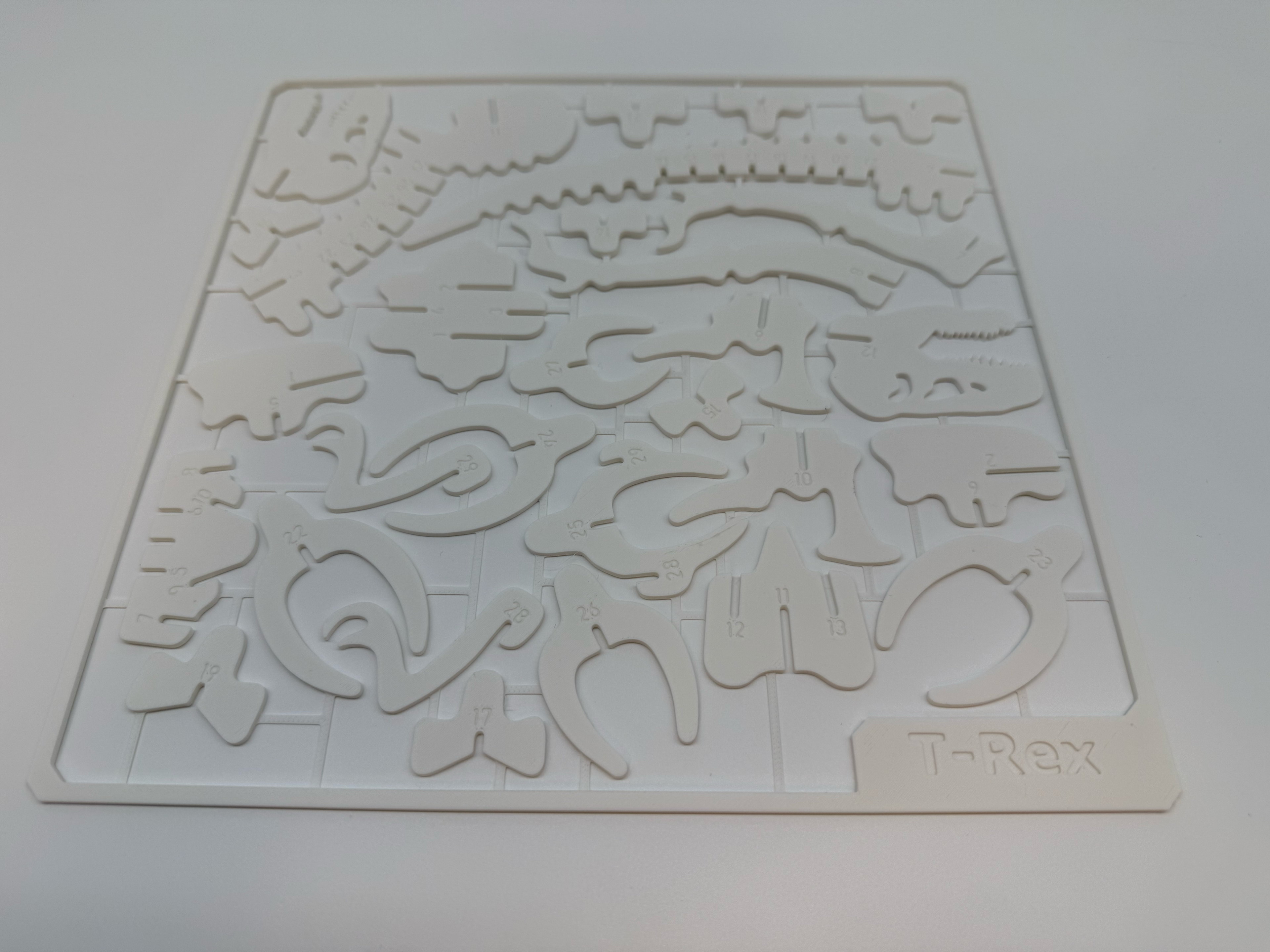 T-Rex Skelettenmodel - Premium Quality