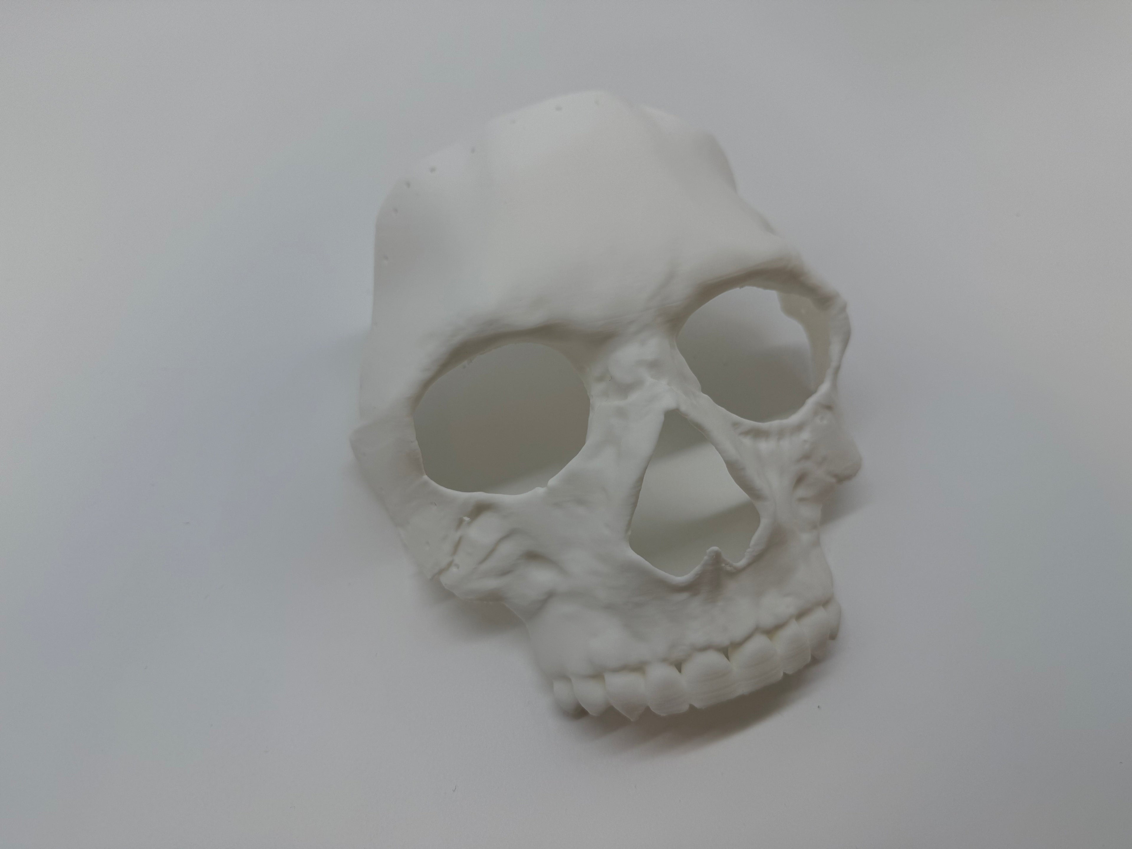 Skull Mask – Realistic and Detailed CoD MWII - Premium Quality