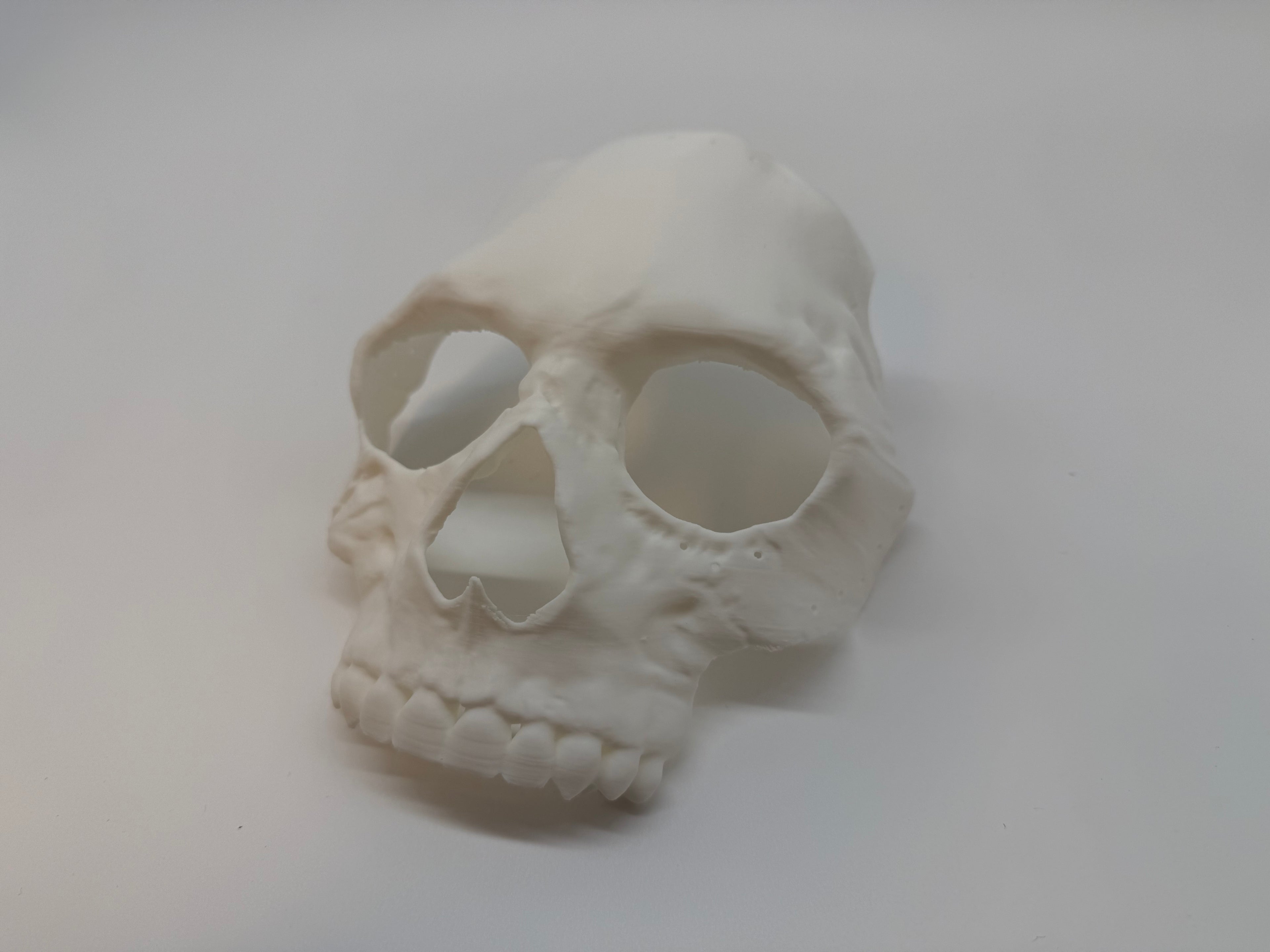 Skull Mask – Realistic and Detailed CoD MWII - Premium Quality