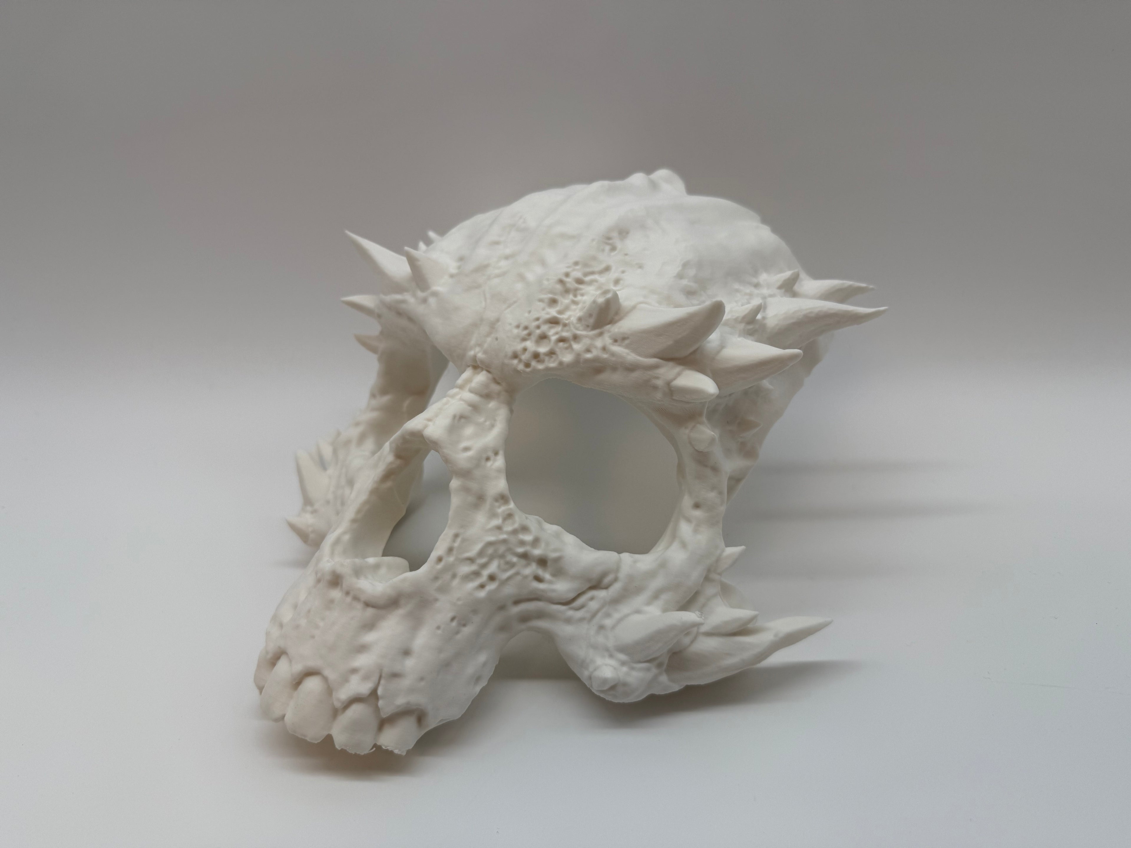 Demonische Schedelmasker - Premium Quality